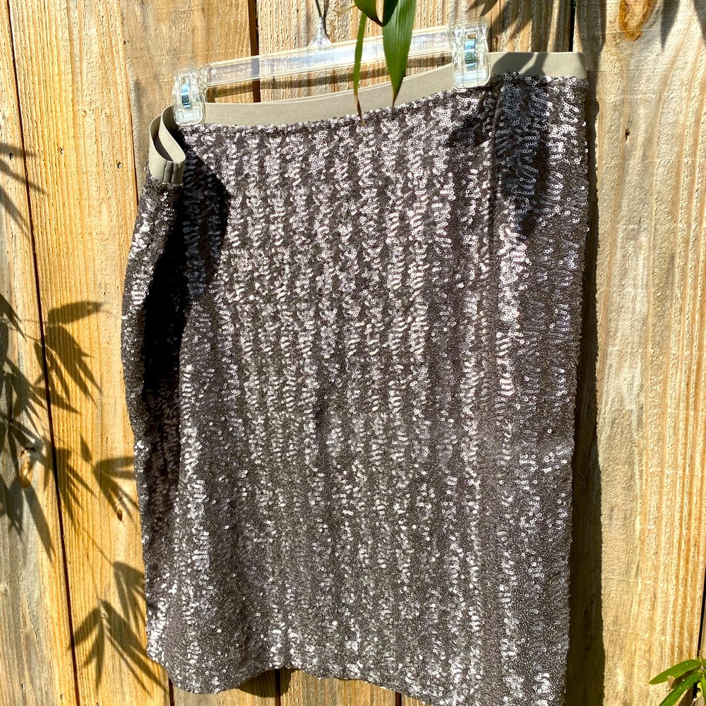 J.Jill Sequin skirt